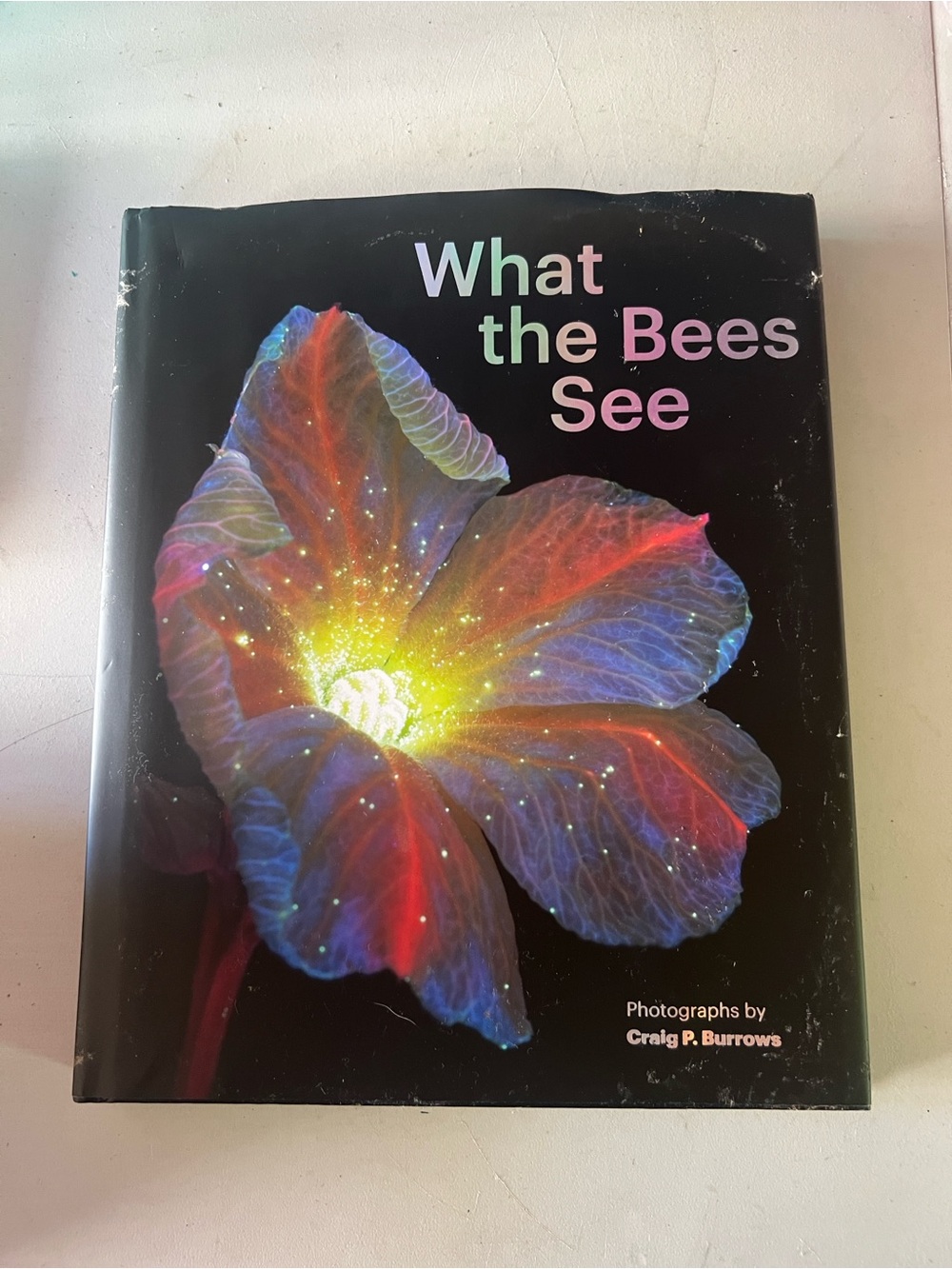 What the Bees See - Vibrant Multicolor Floral Cover